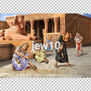 מכת כינים