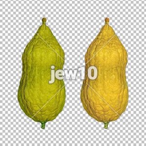 שני אתרוגים