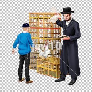 מנהג כפרות