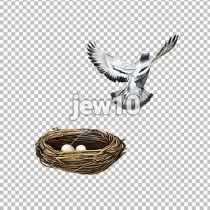קן ציפור