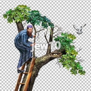 מצות שילוח הקן
