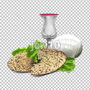 ערכת ליל הסדר