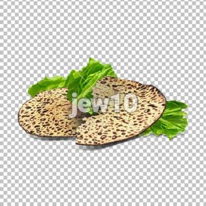 מצה ומרור
