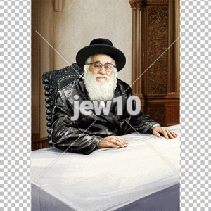 הישועות משה מויזניץ