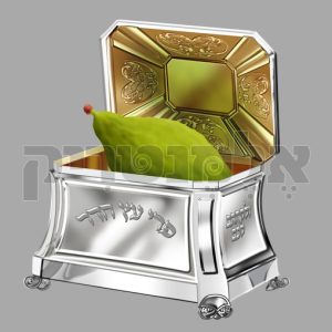 קופסה עם אתרוג