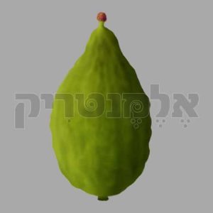 אתרוג