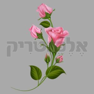 שושנה