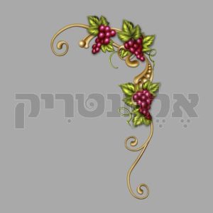 זוית ענבים