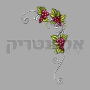 זוית ענבים